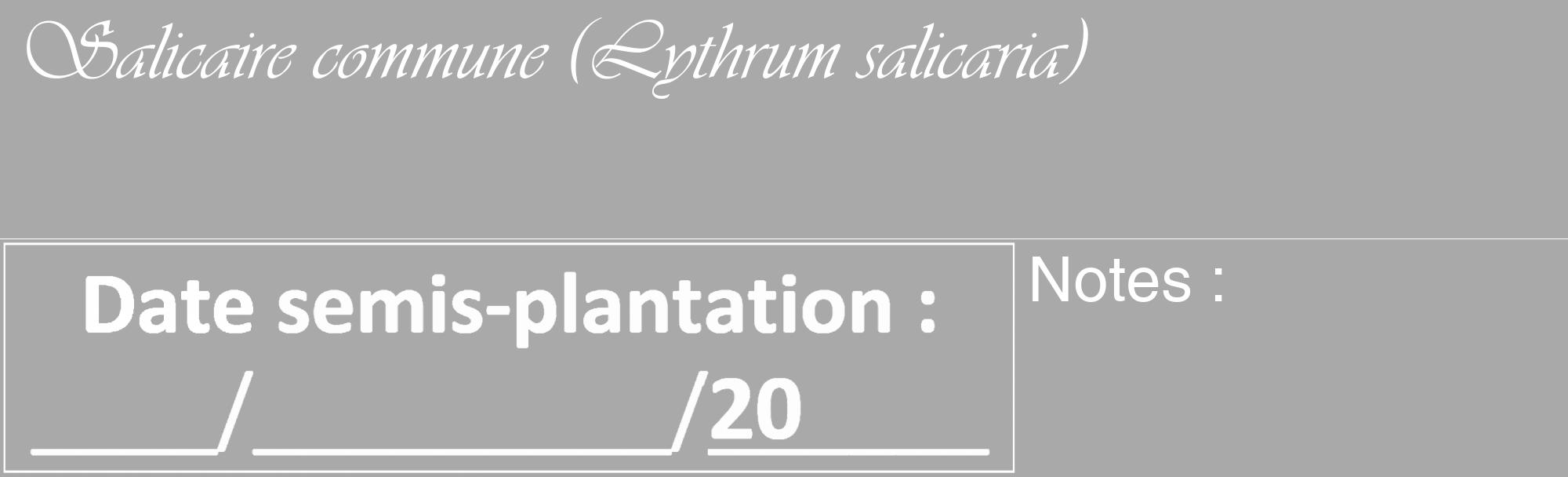 Étiquette de : Lythrum salicaria - format c - style blanche13_basique_basiqueviv avec comestibilité
