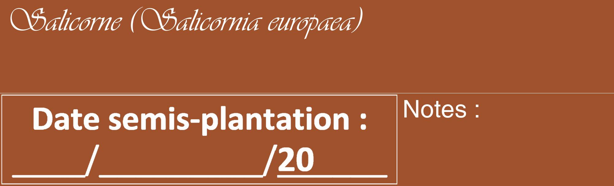 Étiquette de : Salicornia europaea - format c - style blanche32_basique_basiqueviv avec comestibilité