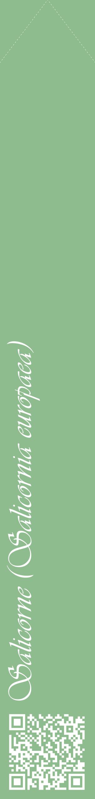 Étiquette de : Salicornia europaea - format c - style blanche13_simpleviv avec qrcode et comestibilité