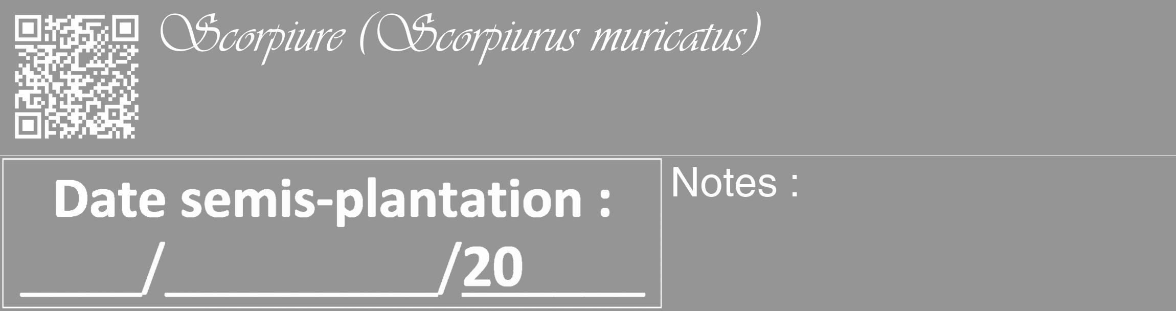 Étiquette de : Scorpiurus muricatus - format c - style blanche16_basique_basiqueviv avec qrcode et comestibilité