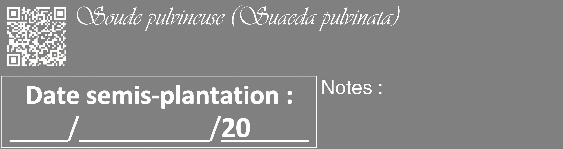 Étiquette de : Suaeda pulvinata - format c - style blanche57_basique_basiqueviv avec qrcode et comestibilité