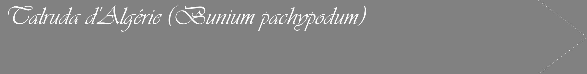 Étiquette de : Bunium pachypodum - format c - style blanche50_simple_simpleviv avec comestibilité