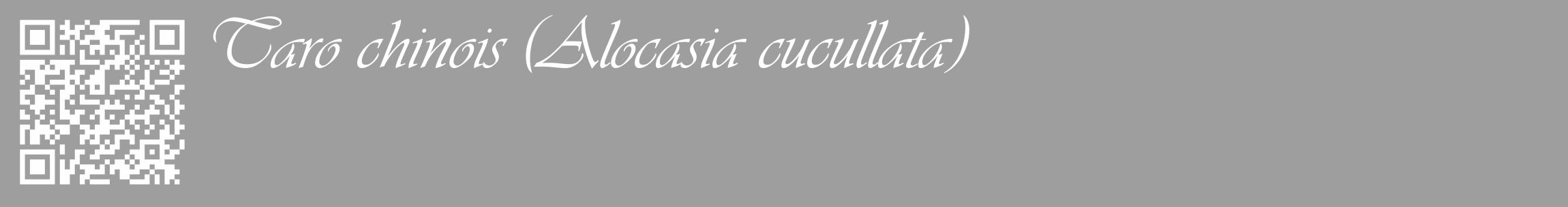 Étiquette de : Alocasia cucullata - format c - style blanche23_basique_basiqueviv avec qrcode et comestibilité