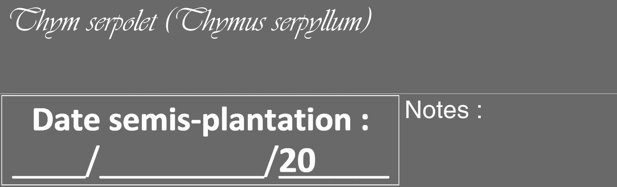 Étiquette de : Thymus serpyllum - format c - style blanche51_basique_basiqueviv avec comestibilité
