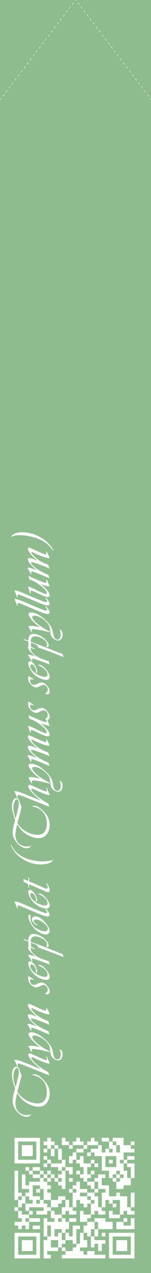 Étiquette de : Thymus serpyllum - format c - style blanche13_simpleviv avec qrcode et comestibilité
