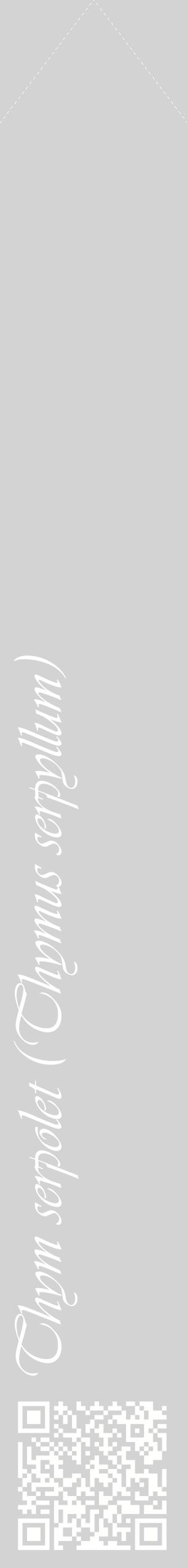 Étiquette de : Thymus serpyllum - format c - style blanche56_simpleviv avec qrcode et comestibilité
