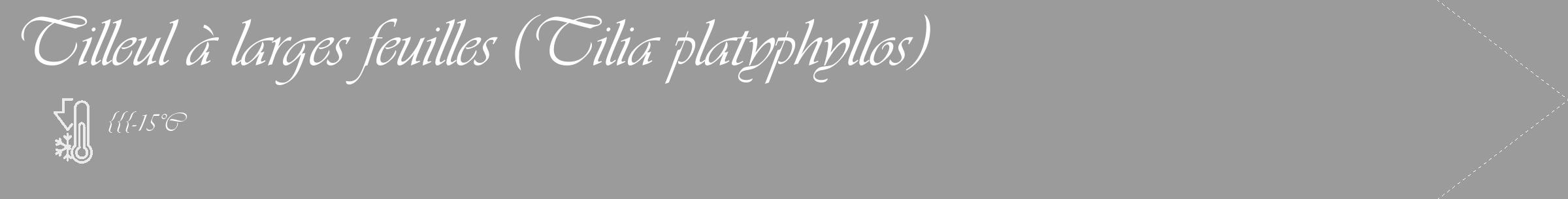 Étiquette de : Tilia platyphyllos - format c - style blanche52_simple_simpleviv avec comestibilité