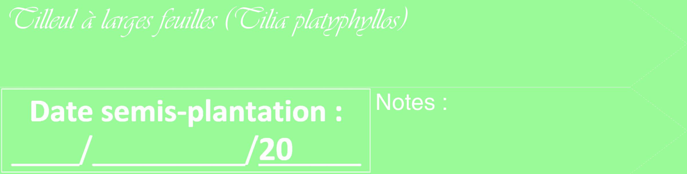 Étiquette de : Tilia platyphyllos - format c - style blanche14_simple_simpleviv avec comestibilité