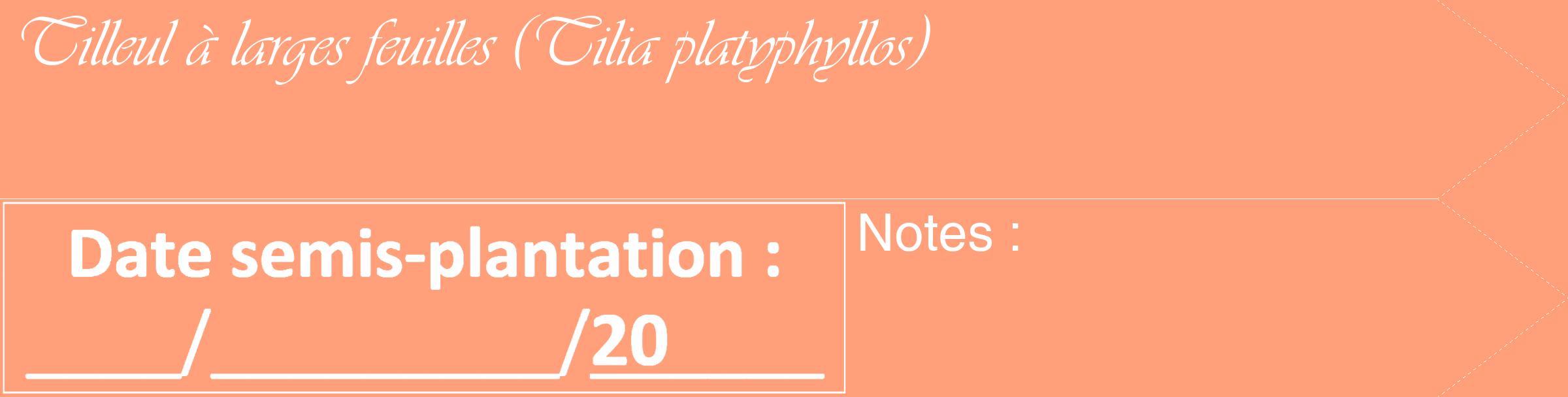 Étiquette de : Tilia platyphyllos - format c - style blanche39_simple_simpleviv avec comestibilité