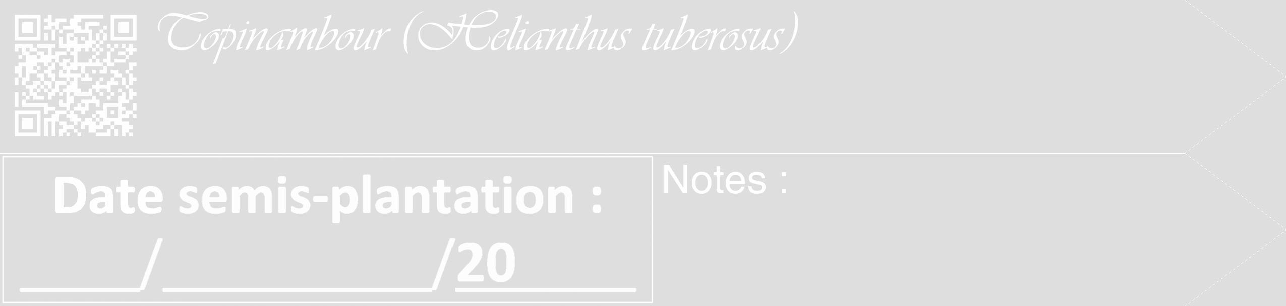 Étiquette de : Helianthus tuberosus - format c - style blanche20_simple_simpleviv avec qrcode et comestibilité
