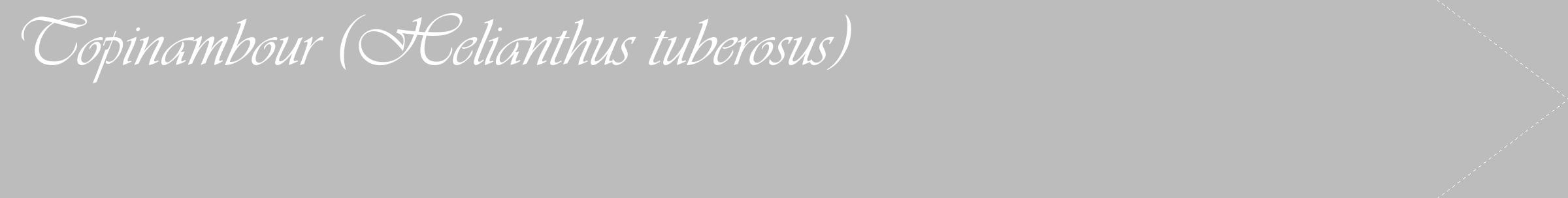 Étiquette de : Helianthus tuberosus - format c - style blanche1_simple_simpleviv avec comestibilité