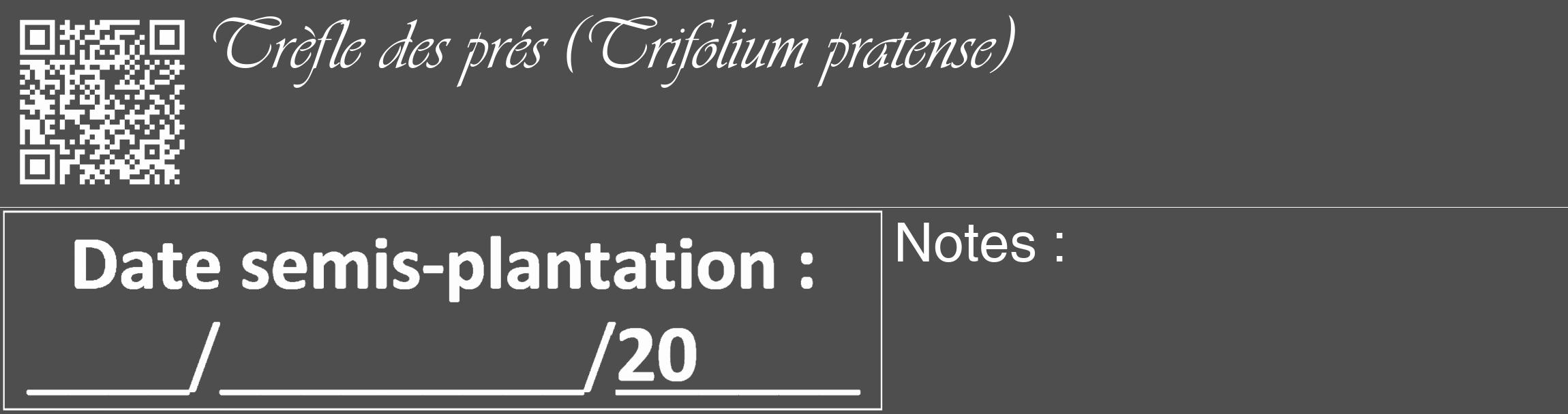Étiquette de : Trifolium pratense - format c - style blanche33_basique_basiqueviv avec qrcode et comestibilité
