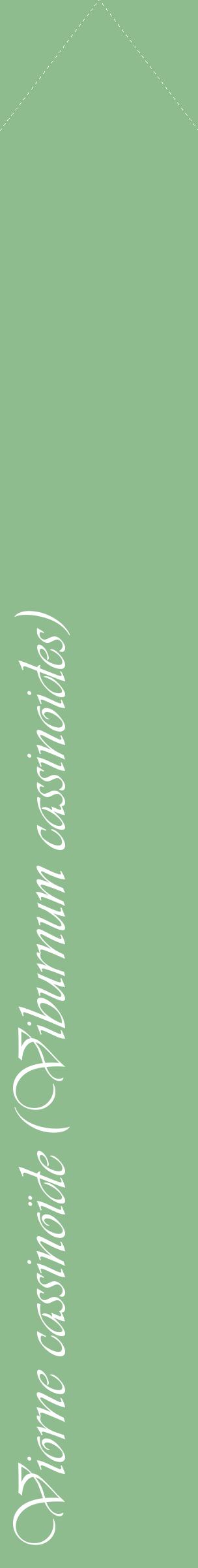 Étiquette de : Viburnum cassinoides - format c - style blanche13_simpleviv avec comestibilité