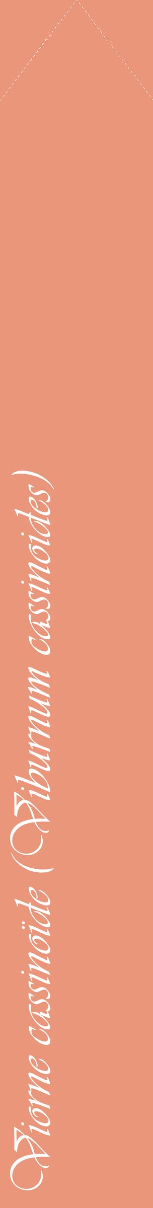 Étiquette de : Viburnum cassinoides - format c - style blanche37_simpleviv avec comestibilité