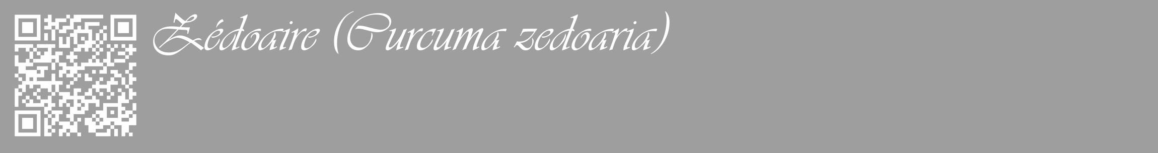 Étiquette de : Curcuma zedoaria - format c - style blanche42_basique_basiqueviv avec qrcode et comestibilité