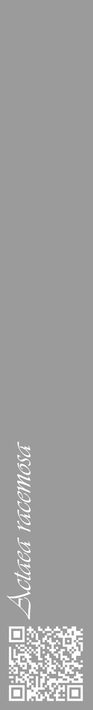 Étiquette de : Actaea racemosa - format c - style blanche52_basique_basiqueviv avec qrcode et comestibilité - position verticale