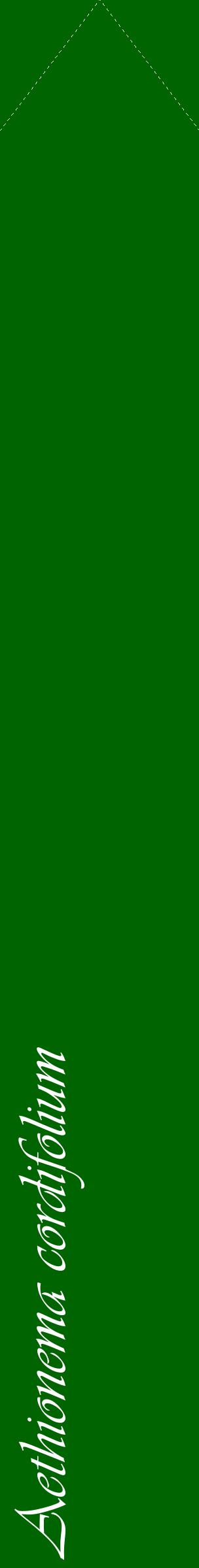 Étiquette de : Aethionema cordifolium - format c - style blanche8_simpleviv avec comestibilité