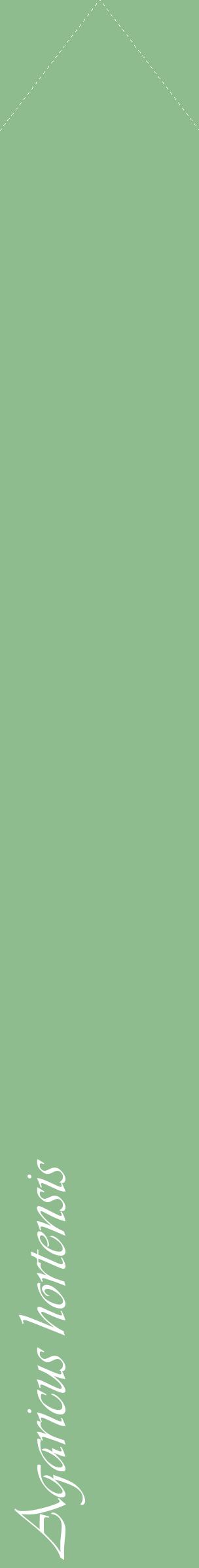 Étiquette de : Agaricus hortensis - format c - style blanche13_simpleviv avec comestibilité