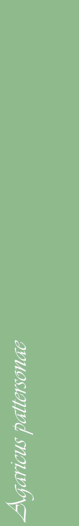 Étiquette de : Agaricus pattersonae - format c - style blanche13_basiqueviv avec comestibilité