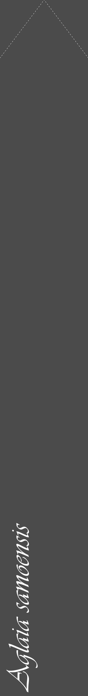 Étiquette de : Aglaia samoensis - format c - style blanche9_simple_simpleviv avec comestibilité - position verticale