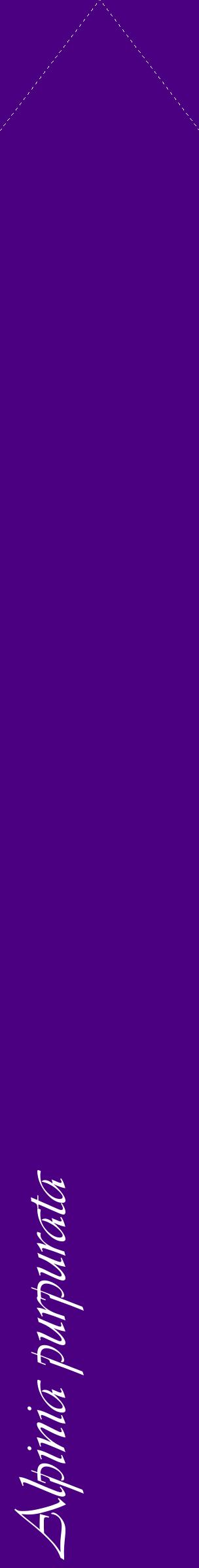 Étiquette de : Alpinia purpurata - format c - style blanche47_simpleviv avec comestibilité
