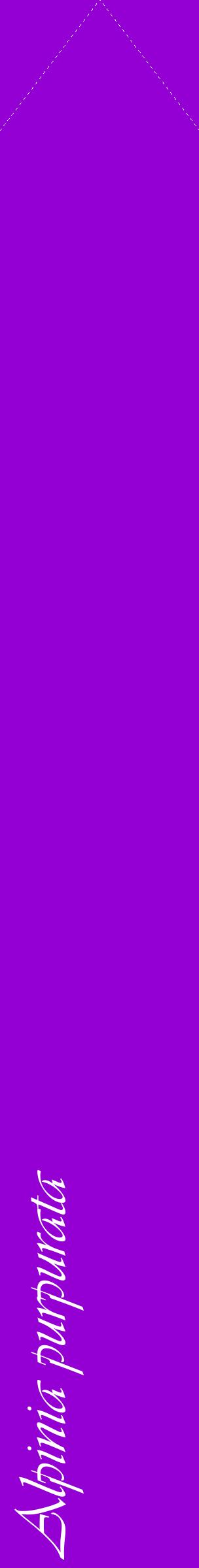 Étiquette de : Alpinia purpurata - format c - style blanche48_simpleviv avec comestibilité