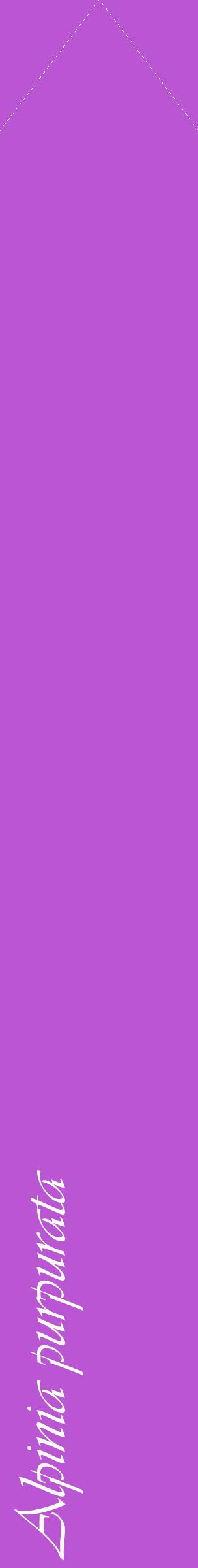 Étiquette de : Alpinia purpurata - format c - style blanche50_simpleviv avec comestibilité