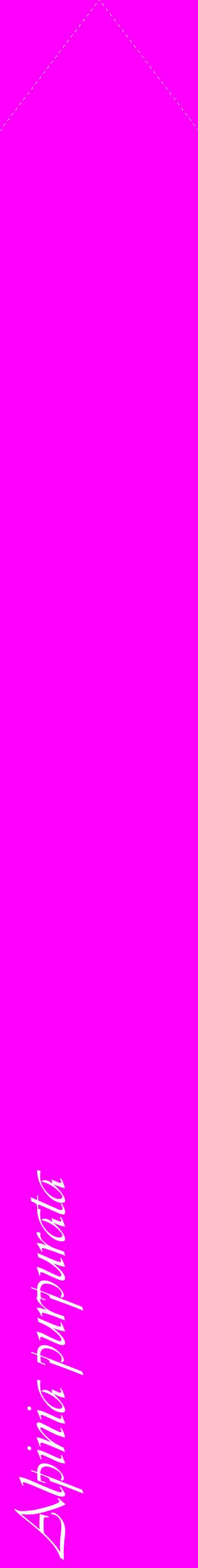 Étiquette de : Alpinia purpurata - format c - style blanche51_simpleviv avec comestibilité