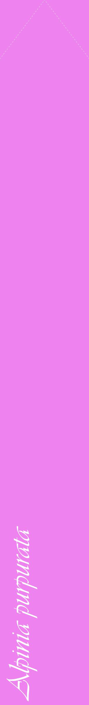 Étiquette de : Alpinia purpurata - format c - style blanche53_simpleviv avec comestibilité