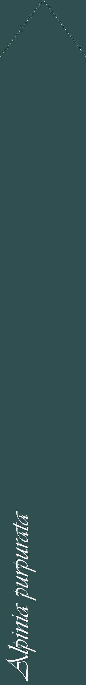 Étiquette de : Alpinia purpurata - format c - style blanche58_simpleviv avec comestibilité