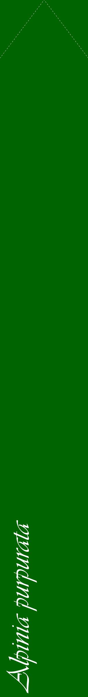 Étiquette de : Alpinia purpurata - format c - style blanche8_simpleviv avec comestibilité