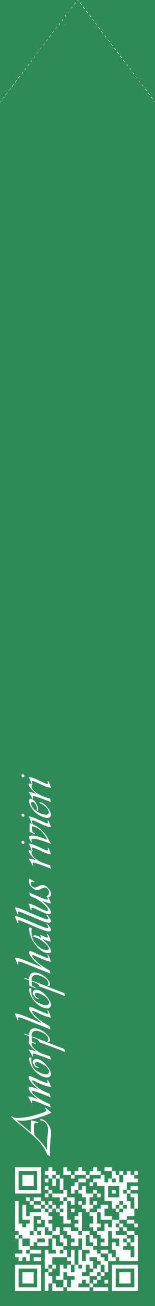 Étiquette de : Amorphophallus rivieri - format c - style blanche11_simpleviv avec qrcode et comestibilité