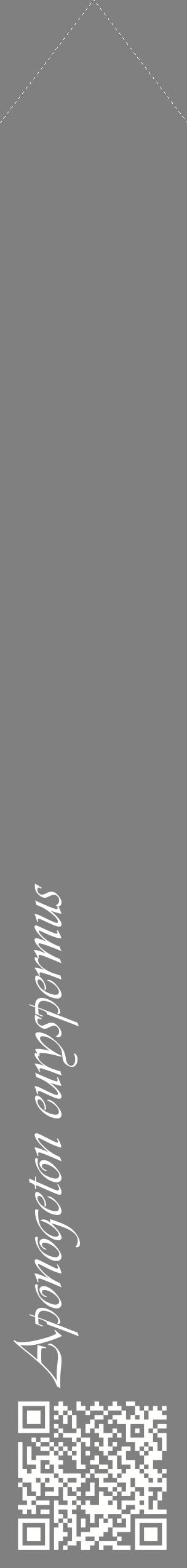Étiquette de : Aponogeton euryspermus - format c - style blanche57_simpleviv avec qrcode et comestibilité