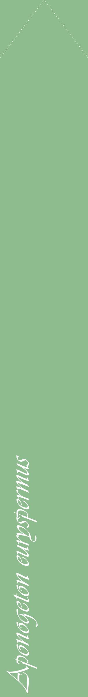 Étiquette de : Aponogeton euryspermus - format c - style blanche13_simpleviv avec comestibilité