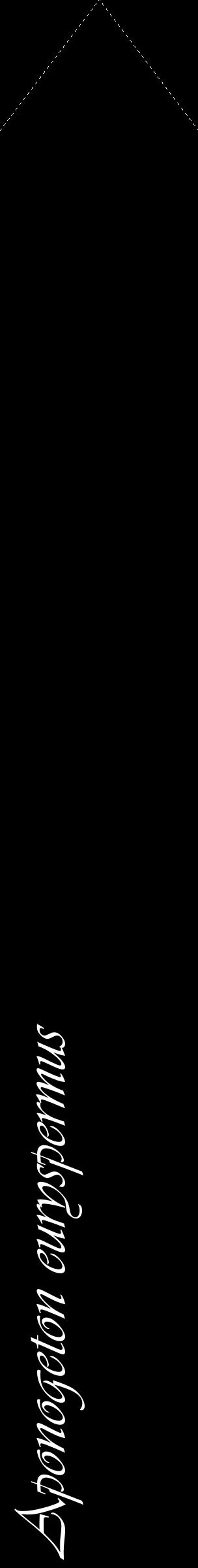 Étiquette de : Aponogeton euryspermus - format c - style blanche59_simpleviv avec comestibilité