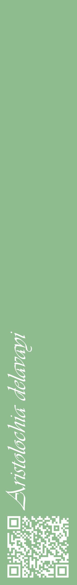 Étiquette de : Aristolochia delavayi - format c - style blanche13_basiqueviv avec qrcode et comestibilité