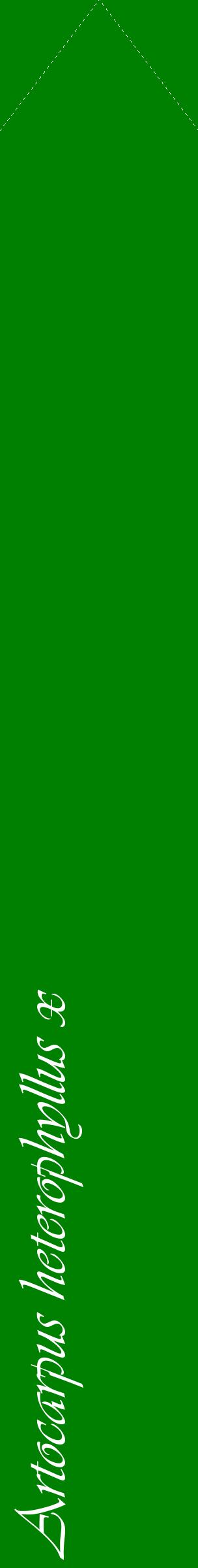 Étiquette de : Artocarpus heterophyllus x - format c - style blanche9_simpleviv avec comestibilité