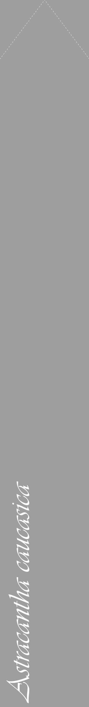 Étiquette de : Astracantha caucasica - format c - style blanche23_simple_simpleviv avec comestibilité - position verticale