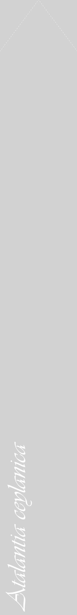 Étiquette de : Atalantia ceylanica - format c - style blanche14_simple_simpleviv avec comestibilité - position verticale