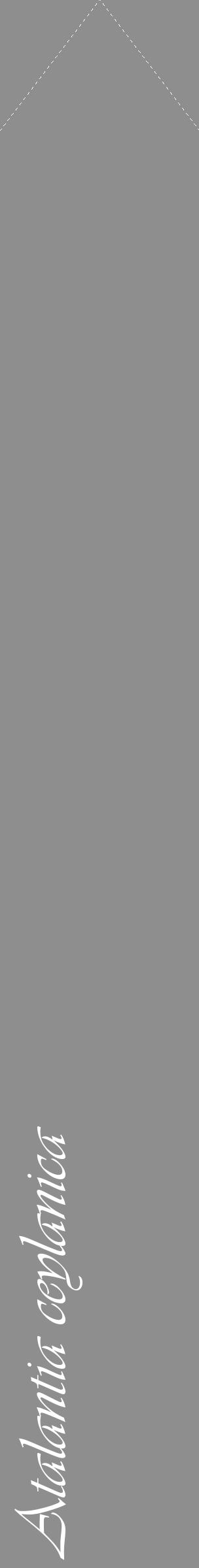 Étiquette de : Atalantia ceylanica - format c - style blanche25_simple_simpleviv avec comestibilité - position verticale