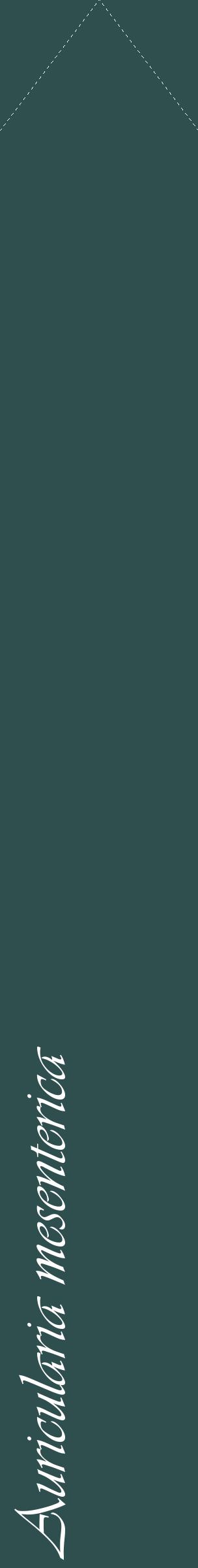 Étiquette de : Auricularia mesenterica - format c - style blanche58_simpleviv avec comestibilité