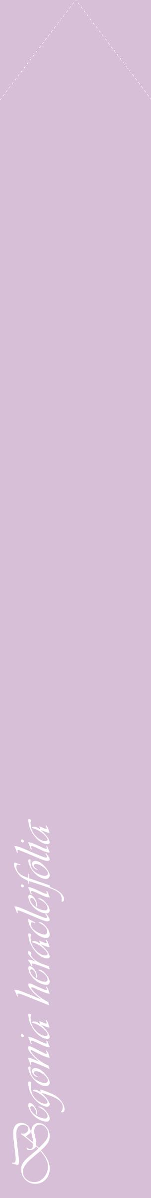 Étiquette de : Begonia heracleifolia - format c - style blanche54_simpleviv avec comestibilité