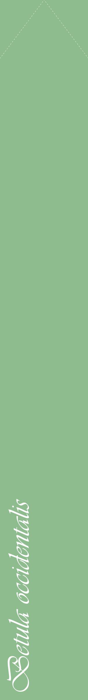 Étiquette de : Betula occidentalis - format c - style blanche13_simpleviv avec comestibilité