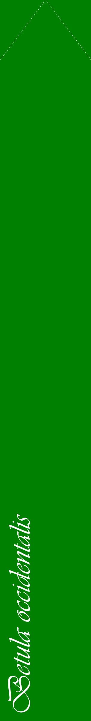 Étiquette de : Betula occidentalis - format c - style blanche9_simpleviv avec comestibilité