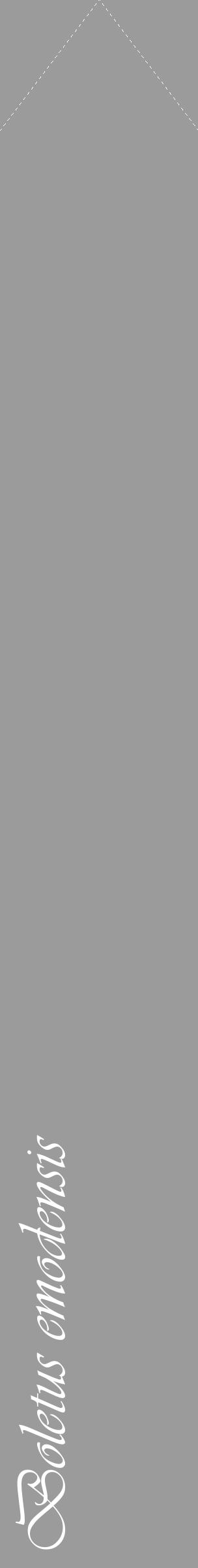 Étiquette de : Boletus emodensis - format c - style blanche52_simple_simpleviv avec comestibilité - position verticale