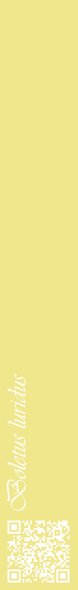 Étiquette de : Boletus luridus - format c - style blanche20_basiqueviv avec qrcode et comestibilité
