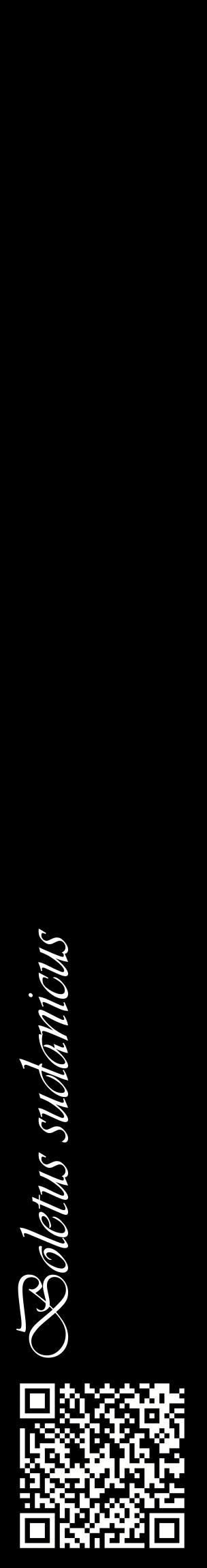 Étiquette de : Boletus sudanicus - format c - style blanche59_basiqueviv avec qrcode et comestibilité