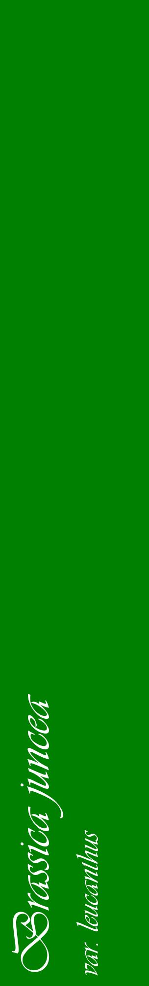 Étiquette de : Brassica juncea var. leucanthus - format c - style blanche9_basiqueviv avec comestibilité