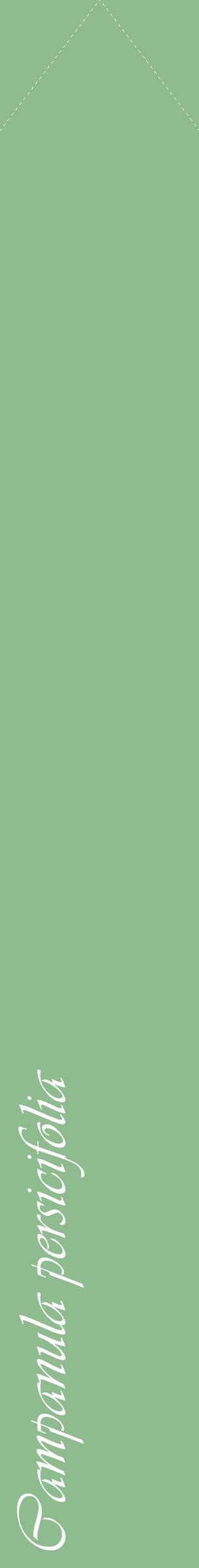 Étiquette de : Campanula persicifolia - format c - style blanche13_simpleviv avec comestibilité