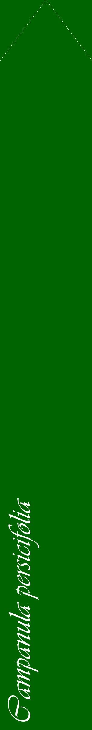 Étiquette de : Campanula persicifolia - format c - style blanche8_simpleviv avec comestibilité